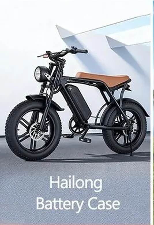 Hailong battery case mounted on a fat-tyre e-bike