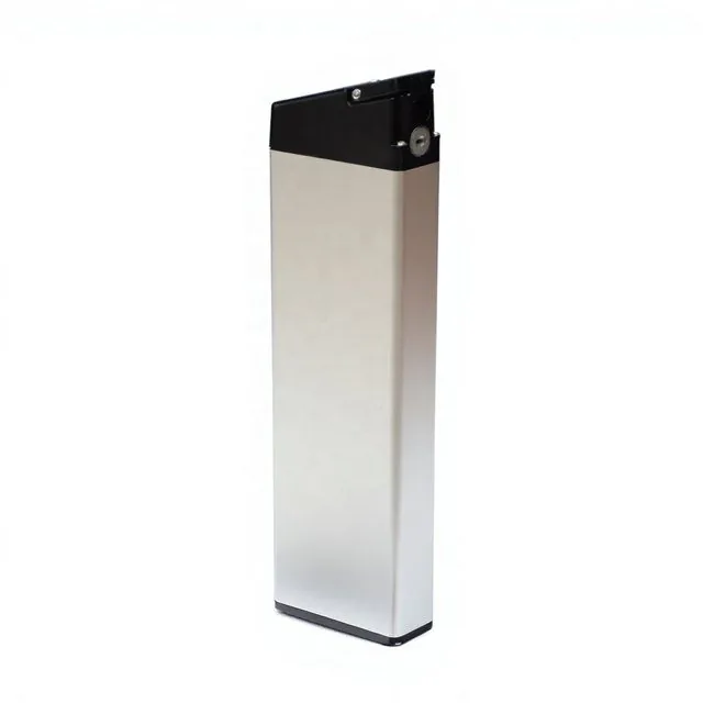 ALX003 empty e-bike battery case
