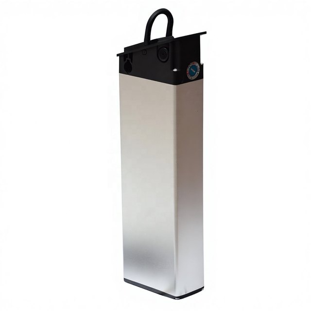 ALX009 Invisible Design, Low MOQ — empty e-bike battery case