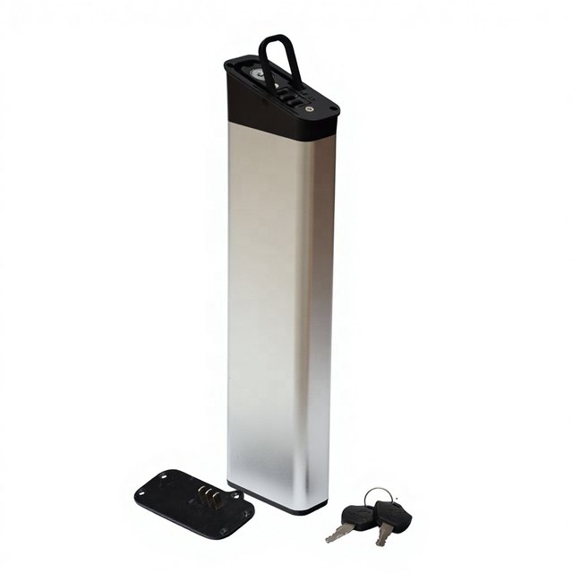 ALX014 Anti-Theft Lockable Cover — empty e-bike battery case