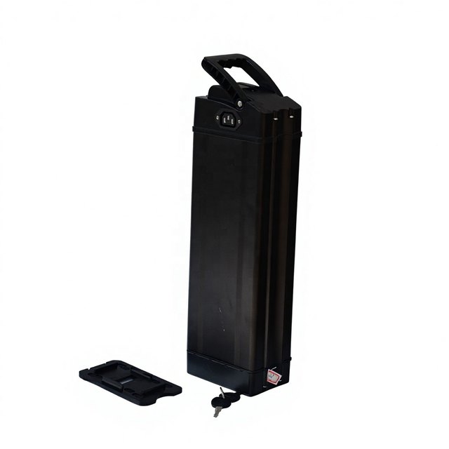 ALX021 Silver Fish Frame Mount — empty e-bike battery case