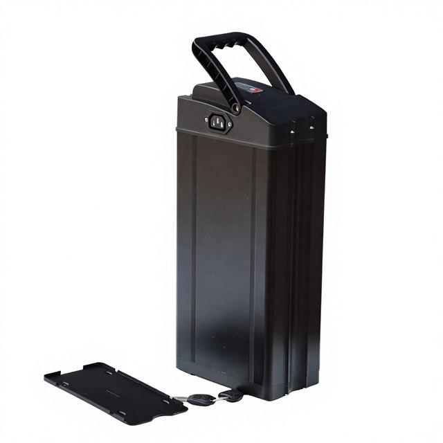 ALX027 High-Volume Silver Fish — empty e-bike battery case