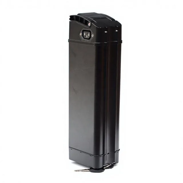 ALX035 Premium Quality Silver Fish — empty e-bike battery case