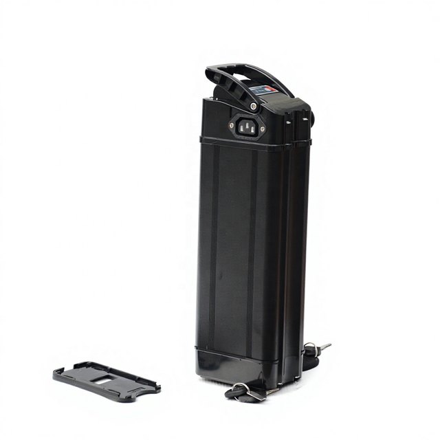 ALX038 Shock Resistant ABS+Aluminium — empty e-bike battery case