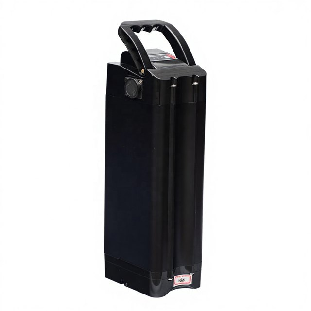 ALX040 Silver Fish OEM Service — empty e-bike battery case