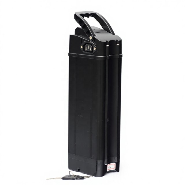 ALX050 Vertical Shock-Resistant — empty e-bike battery case