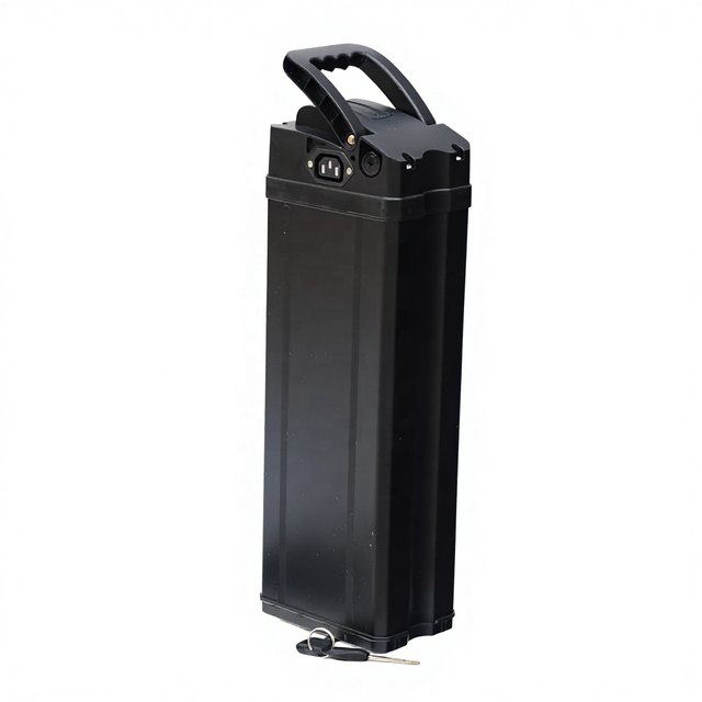 ALX061 Durable Structure Silver Fish — empty e-bike battery case