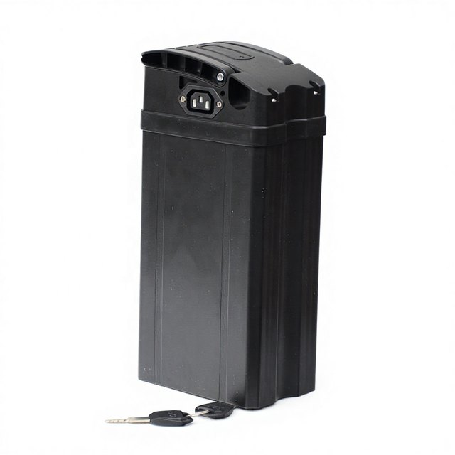 ALX061B ABS+PC Impact Resistant — empty e-bike battery case