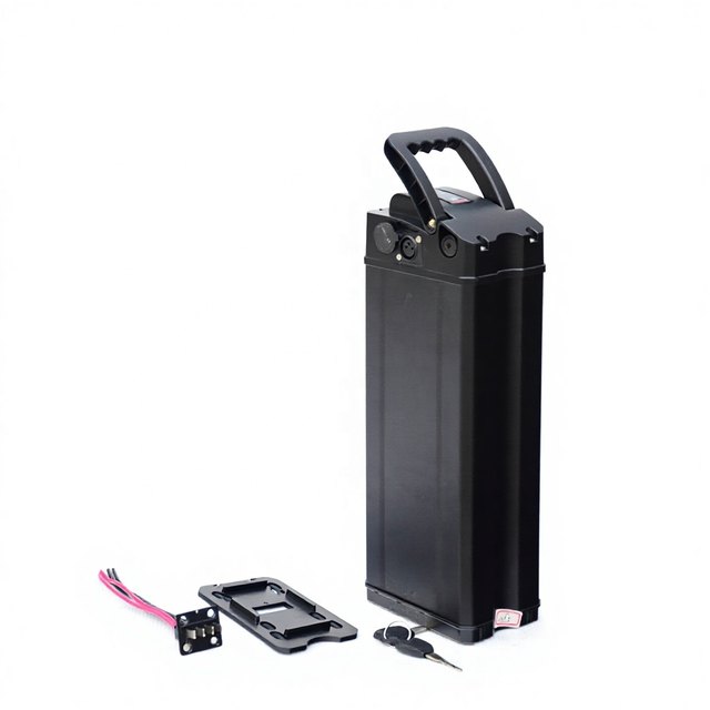 ALX063 Bulk Order Silver Fish — empty e-bike battery case