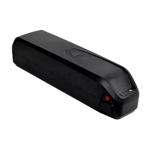 ALX096 Hailong with Key Lock — empty e-bike battery case