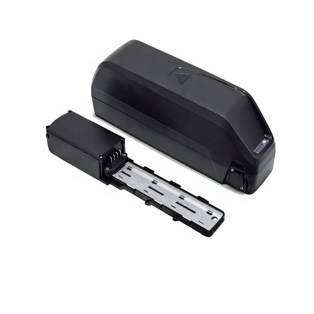 ALX097B Custom Logo Hailong — empty e-bike battery case
