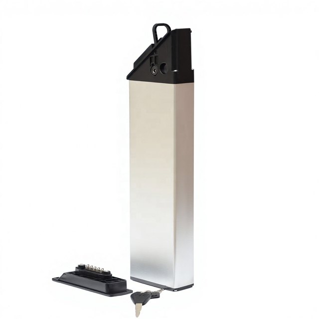 ALX124 Minimalist Hidden Design — empty e-bike battery case