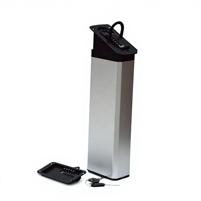ALX131 Invisible Integration — empty e-bike battery case