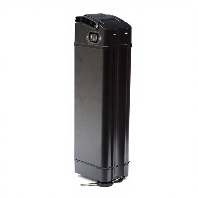 Silver Fish empty e-bike battery case